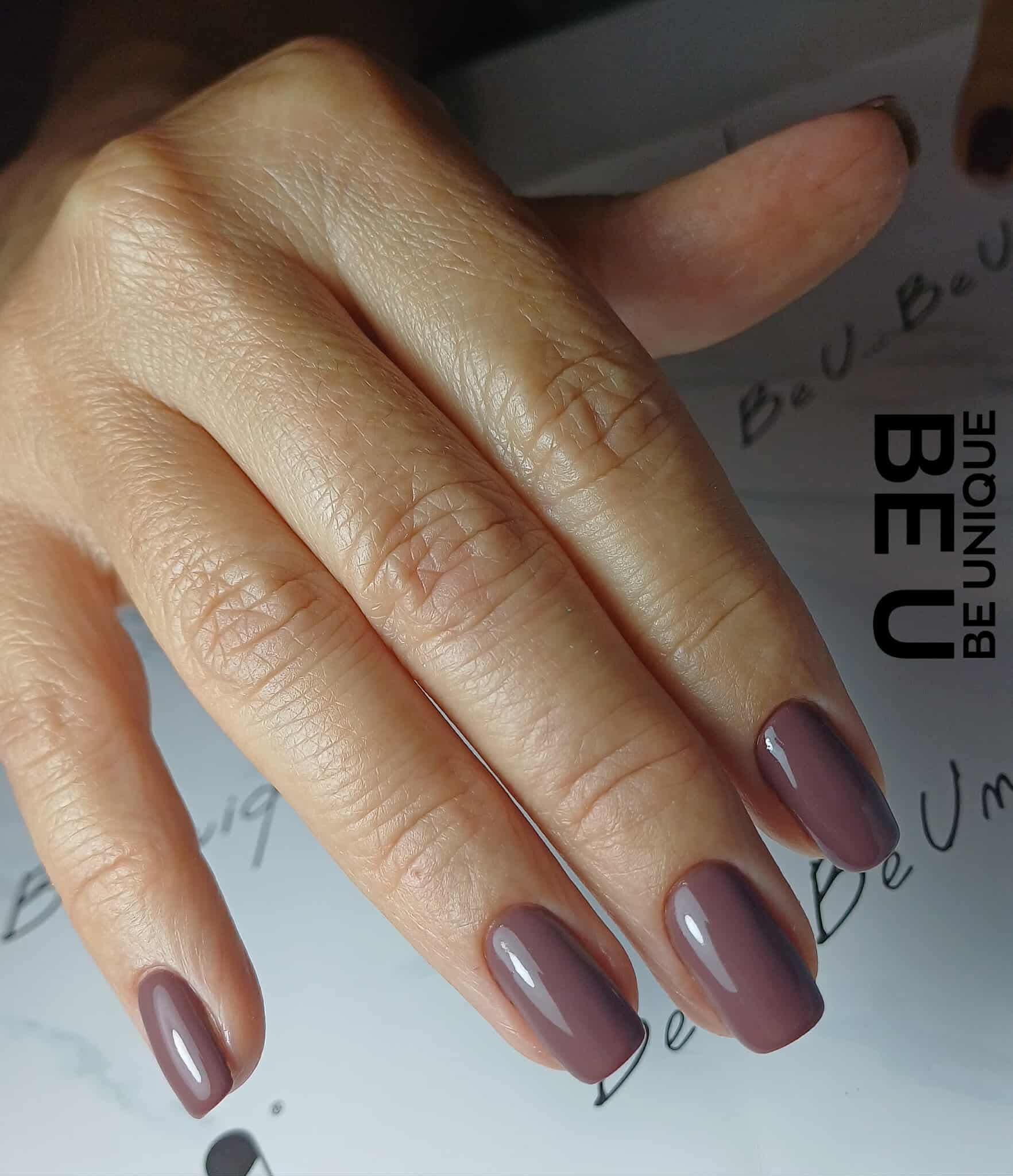 WT005 - WINTER DEEP MAHOGANY COLOR - Image 2