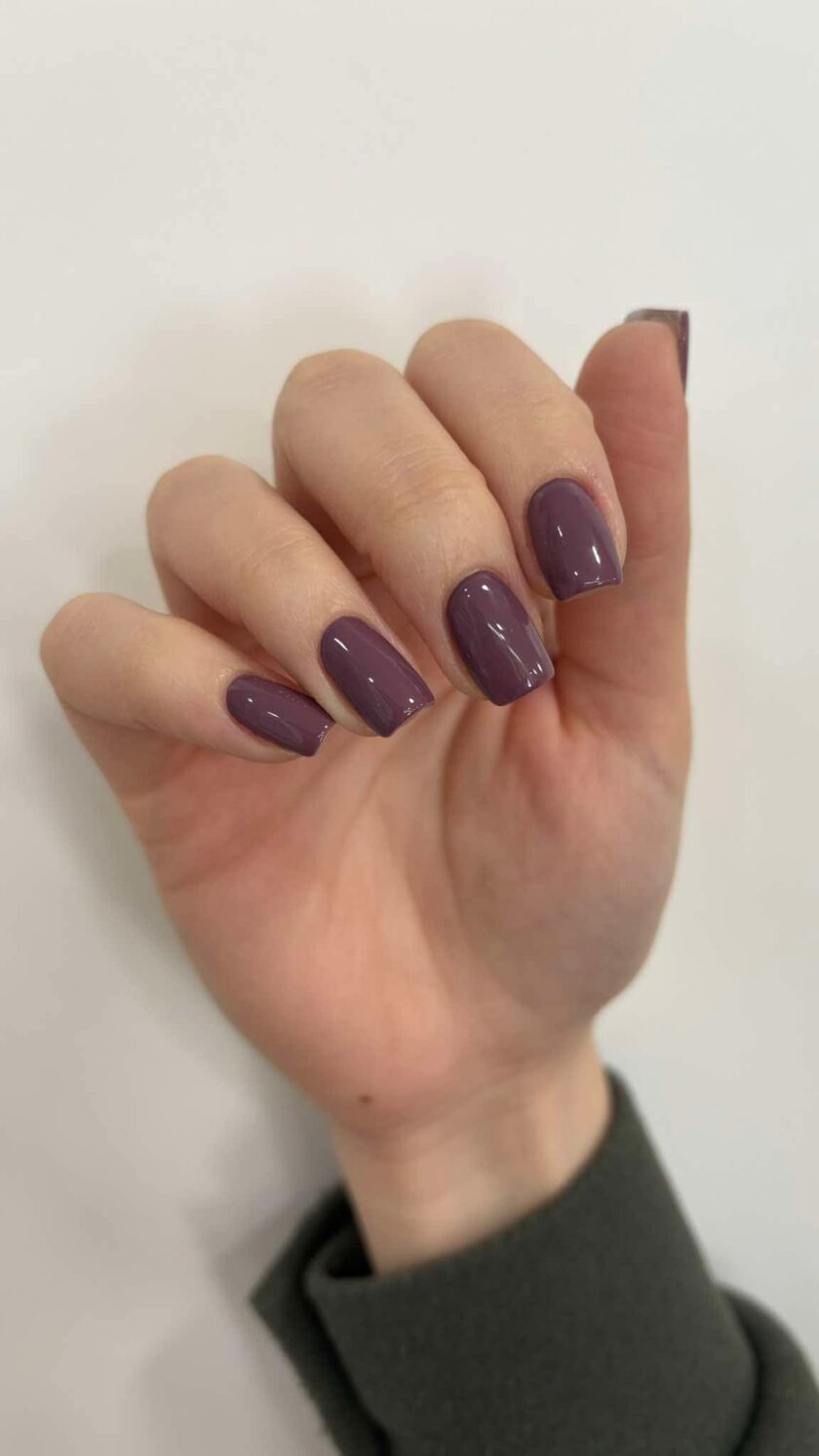 Alternative view of AC024 - WOOD VIOLET