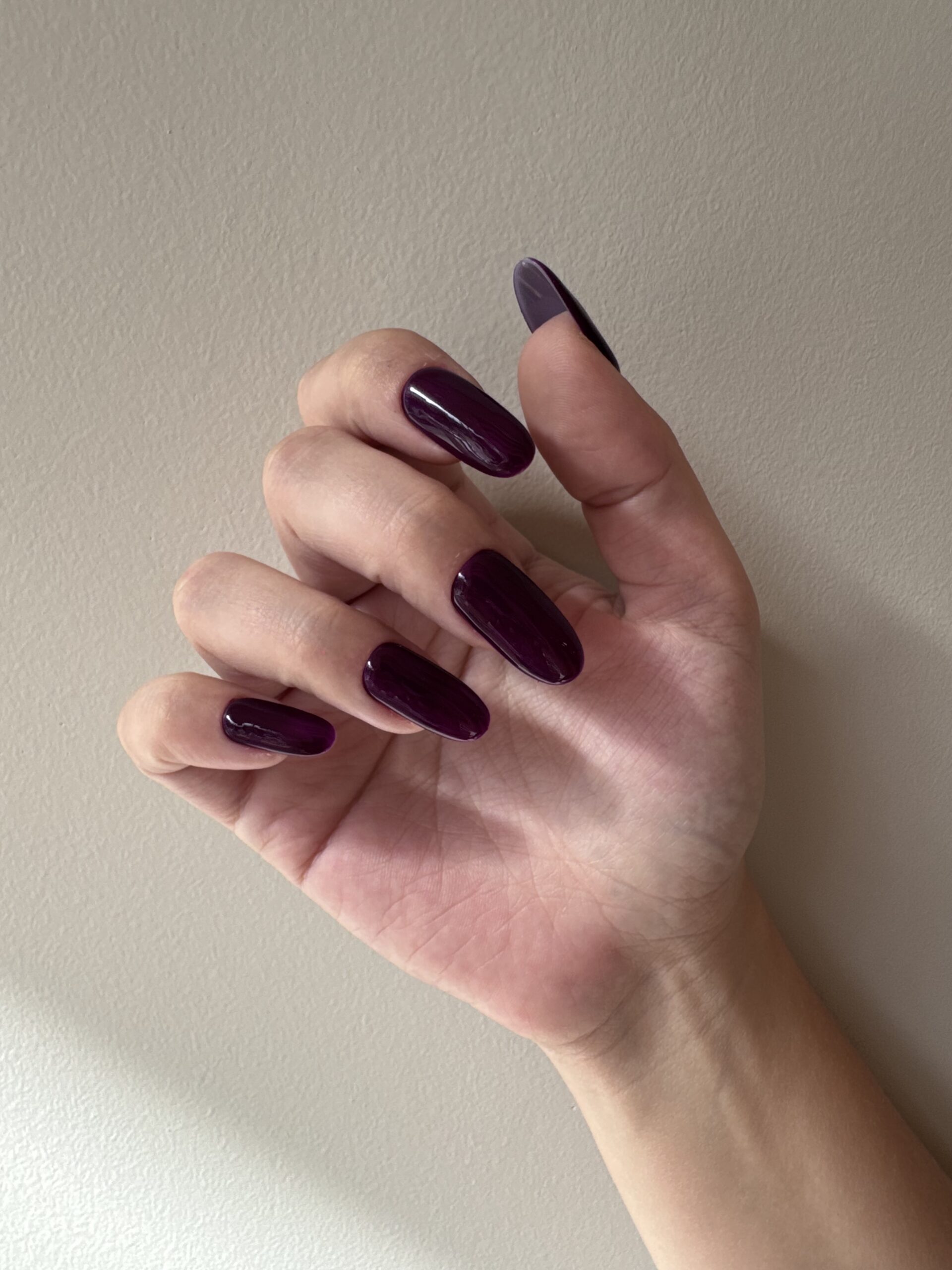 WT020 - WINTER FIG PURPLE (VITRO) - Image 2